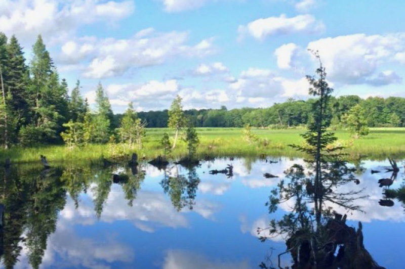 AuSable River Water Trail (Cooke Dam Pond)